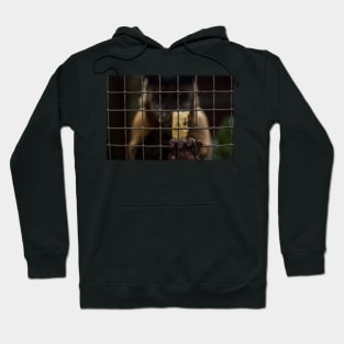 Let Me Out! Hoodie